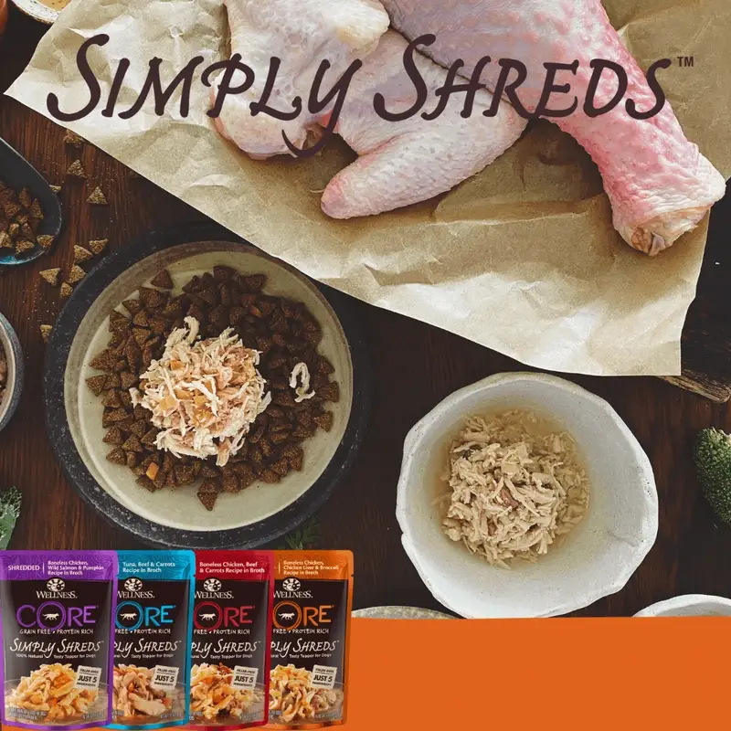 Wellness CORE Simply Shreds Shredded Chicken Salmon and Pumpkin Wet Dog Food 79g - Image 5