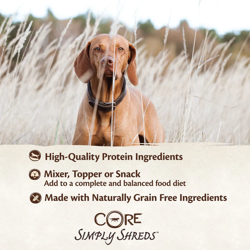 Wellness CORE Simply Shreds Shredded Chicken Salmon and Pumpkin Wet Dog Food 79g - Image 2