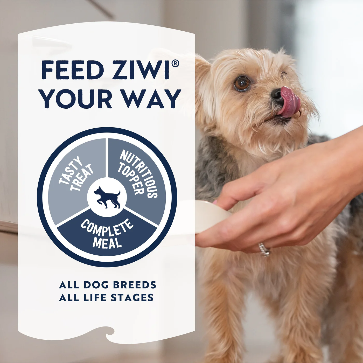ZIWI Peak Air Dried Mackerel and Lamb Recipe Dog Food 1kg - Image 4