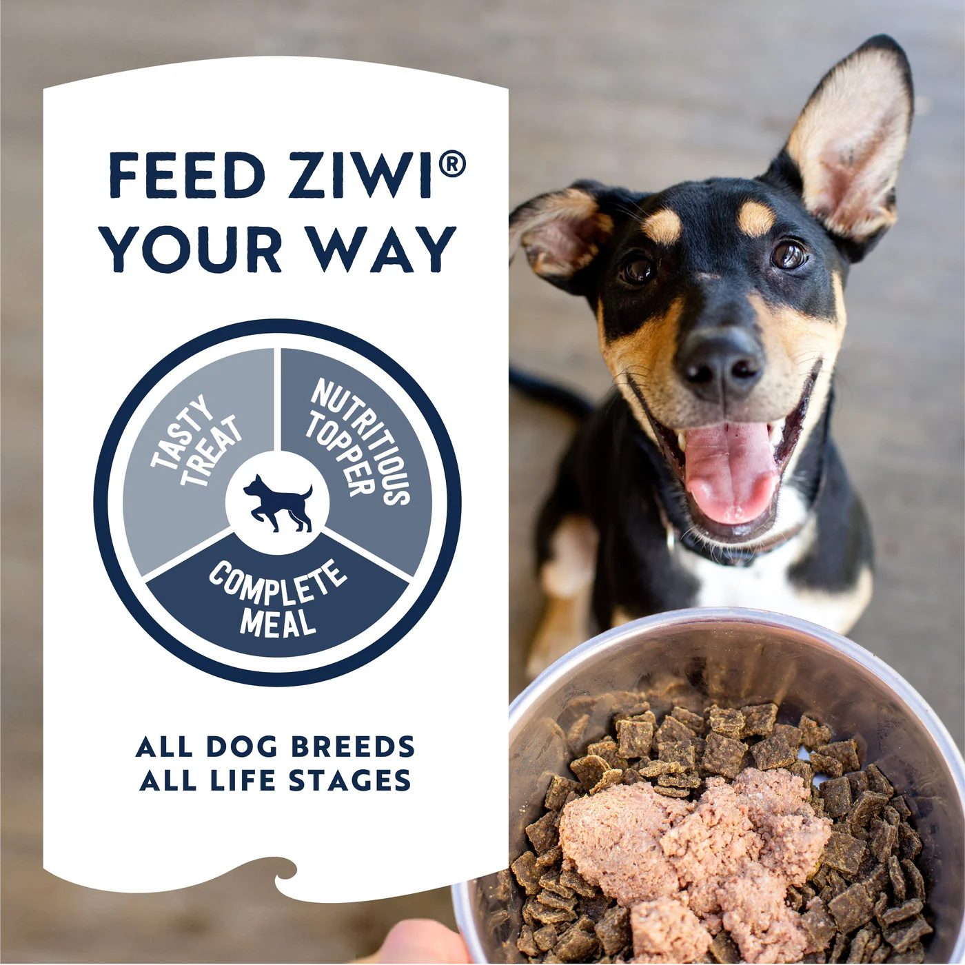 ZIWI Peak Wet Lamb Recipe Dog Food 390g x 12 - Image 4