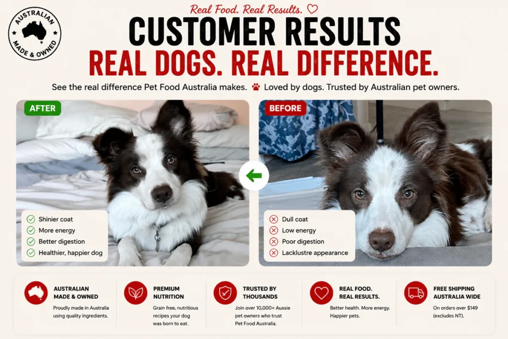 Buy Premium Dog & Cat Food Australia
